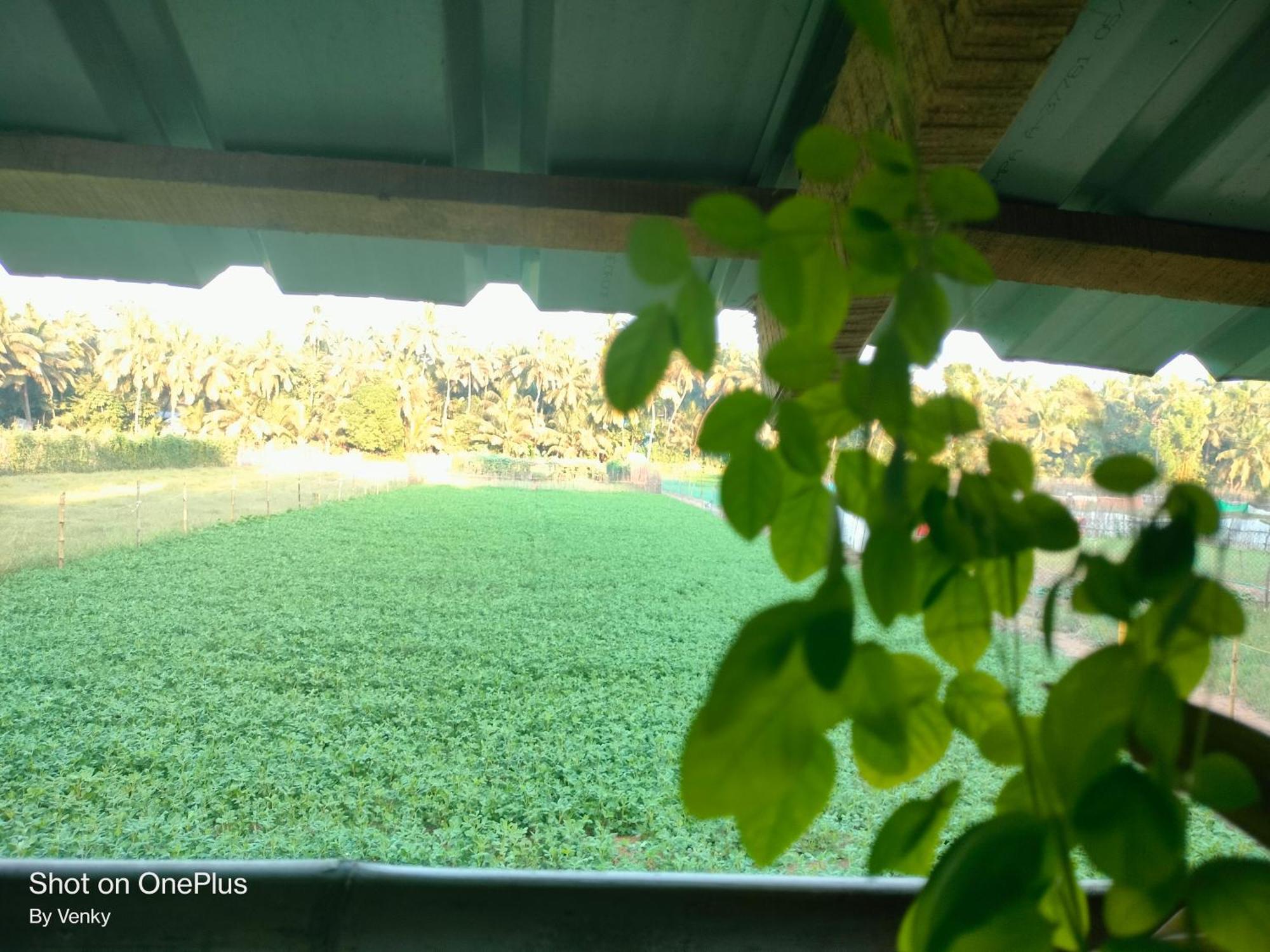 Ocean Sparrow Beach Stay Gokarna  Pokój zdjęcie